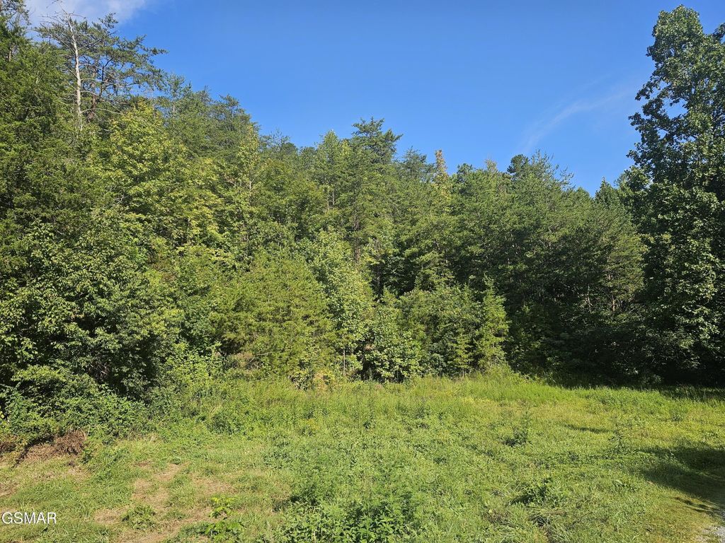 3 Franklin Way, Sevierville