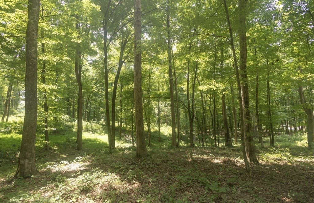123 County Road 5, Calhoun