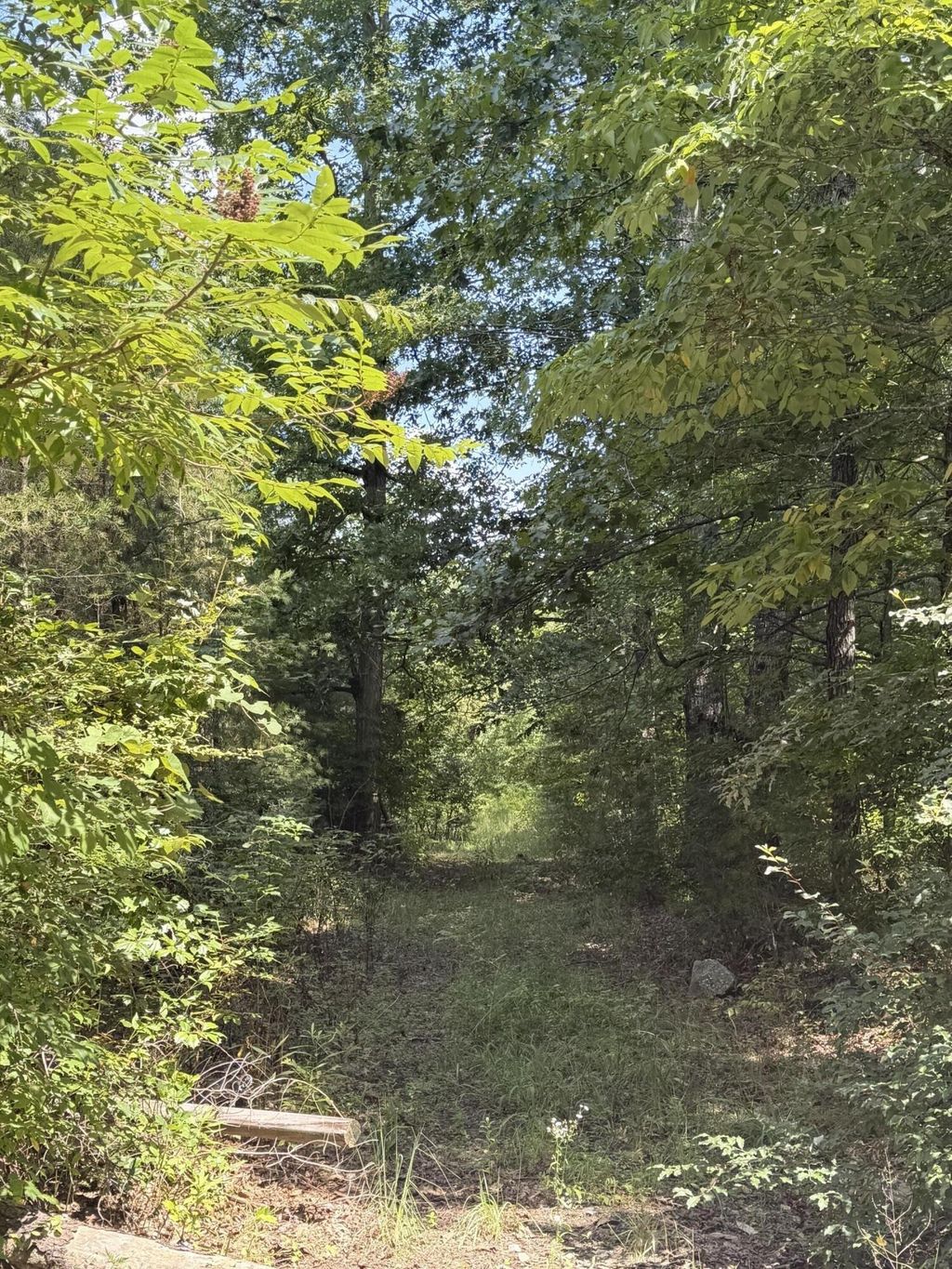 704 Windstone Drive, Sequatchie