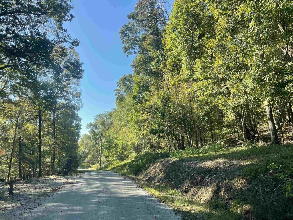 0 Crow Ln, Bath Springs