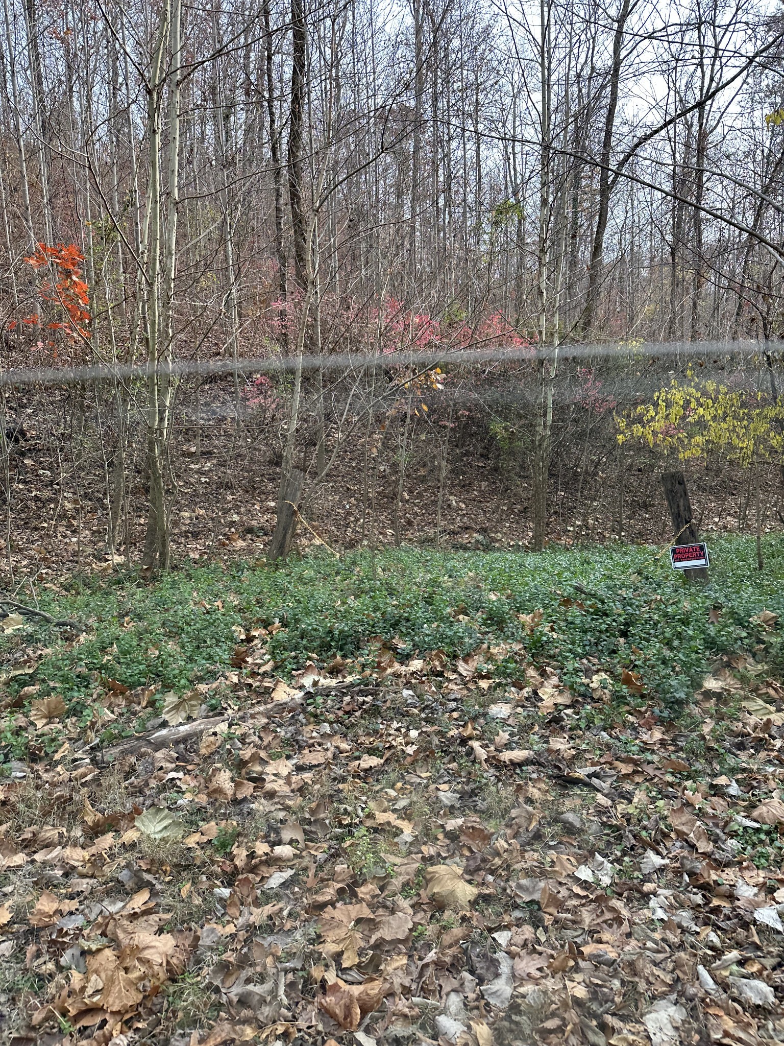 Photo for MLS 3531479 in 216 Happy Hollow Rd Goodlettsville, TN - 37072