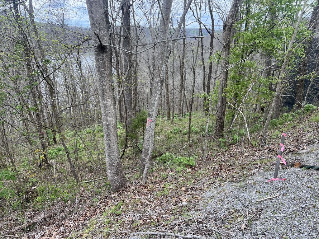 132 Lakeview Dr, Smithville
