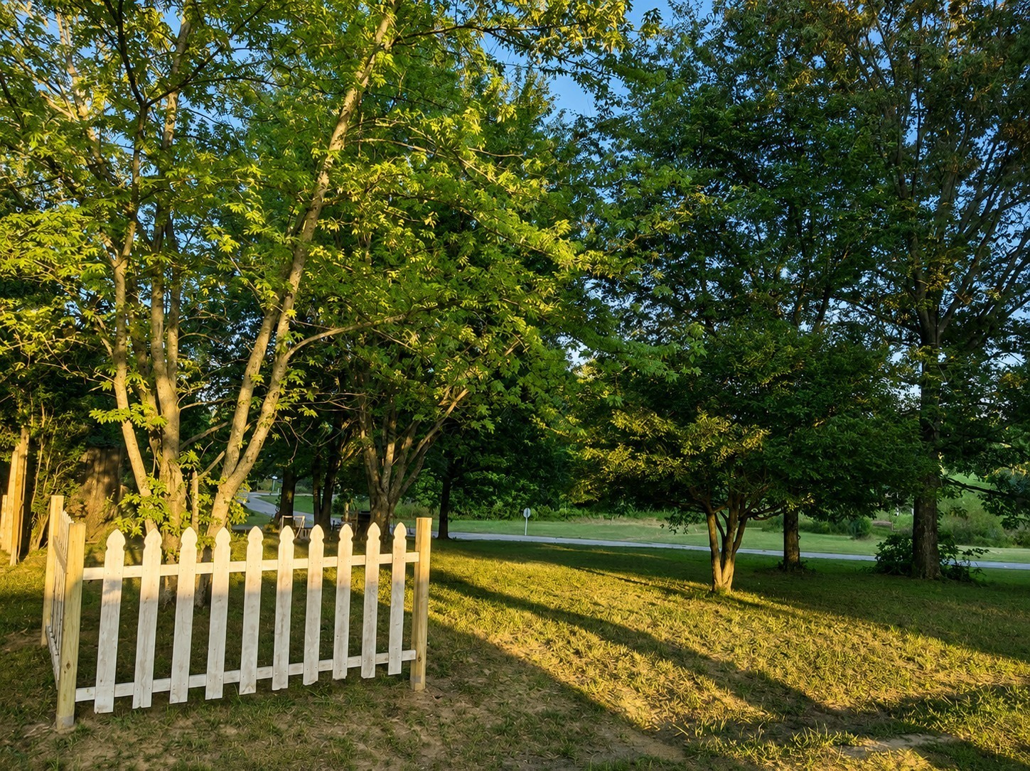Photo of Listing #3531646