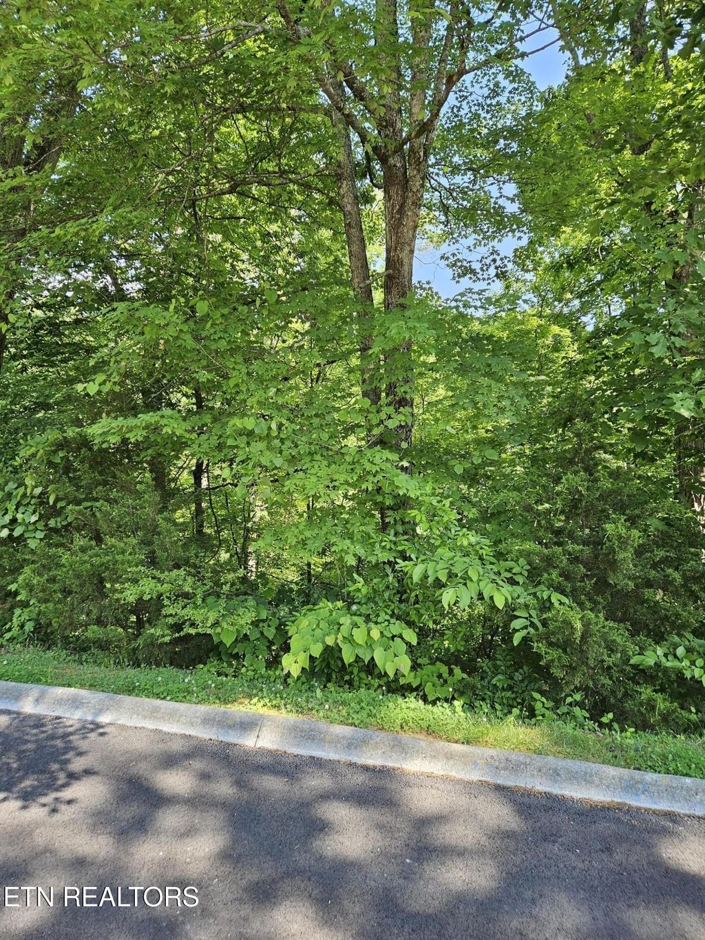 15 Saddleback Way, Sevierville