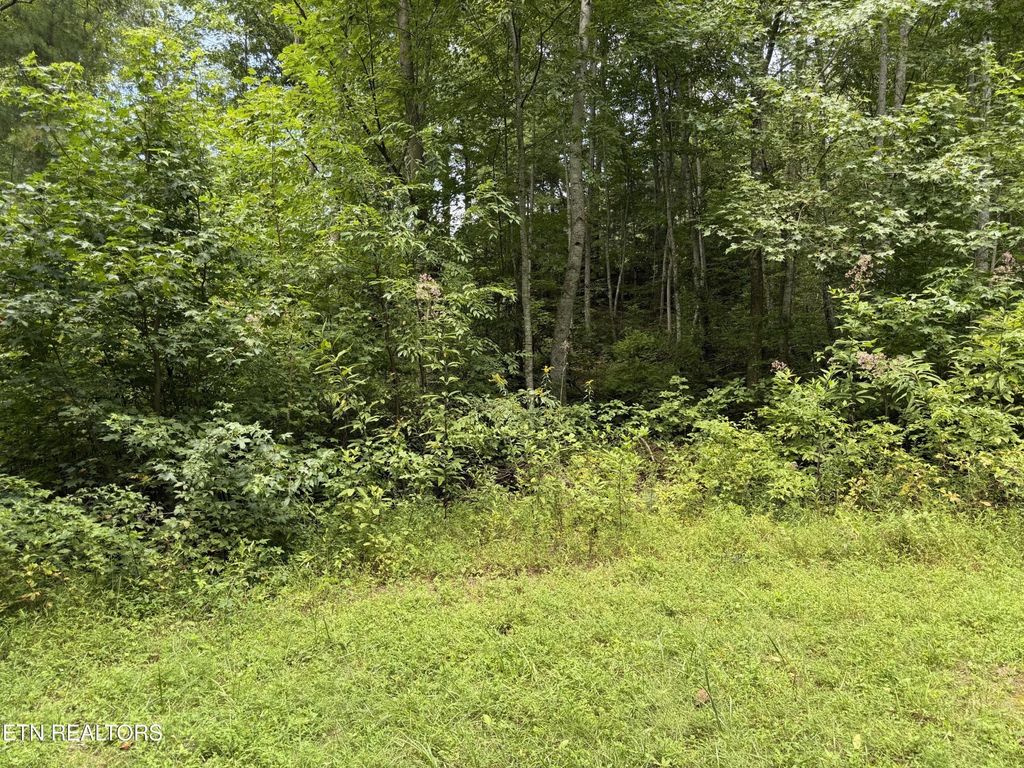 0 Coy Rhea Way, Sevierville