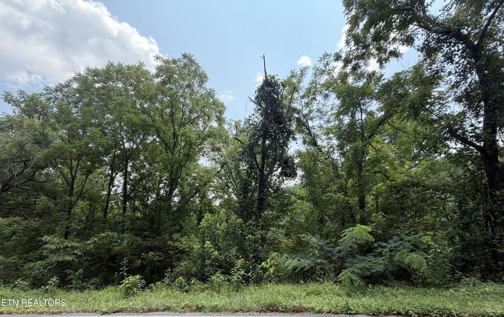 1059 Kellum Creek Rd, Sevierville