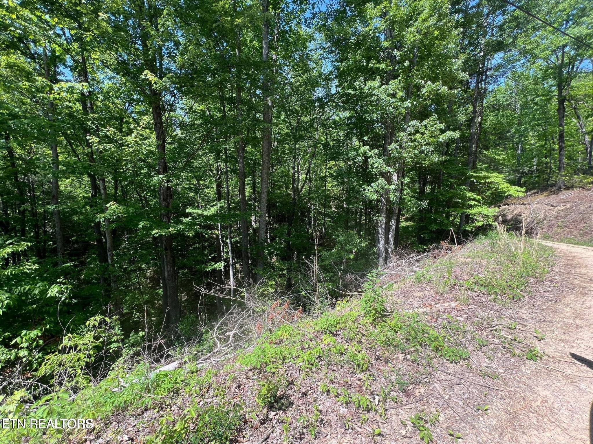 Photo of Listing #3536067