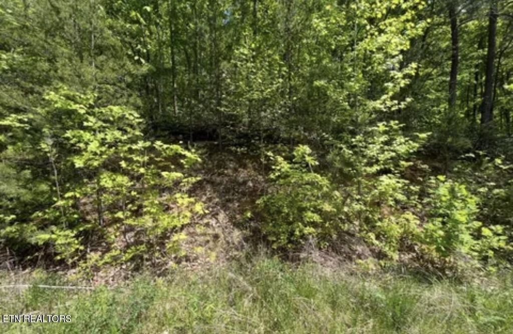 50 Yellowwood Drive, Sevierville