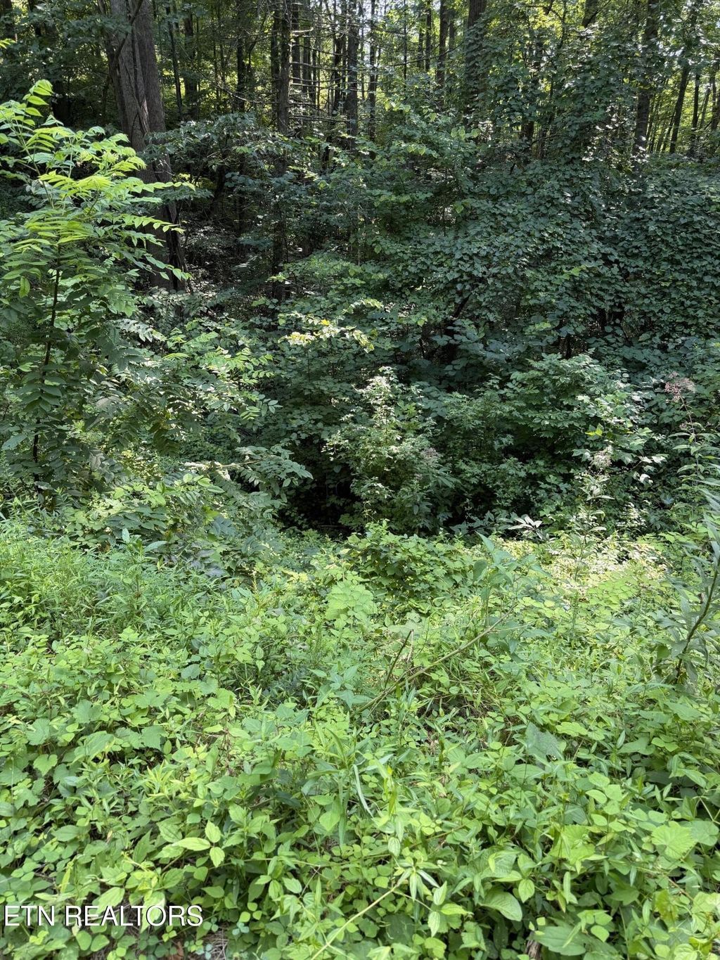0 Butternut Lane, Sevierville