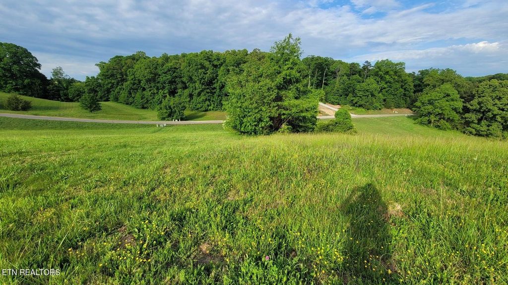 0 Shiloh Springs Rd, Rutledge