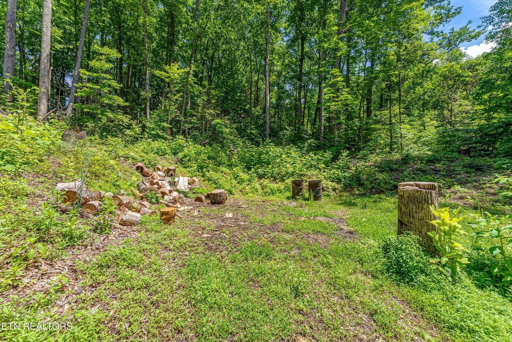 229 Sonshine Ridge Rd, Cosby