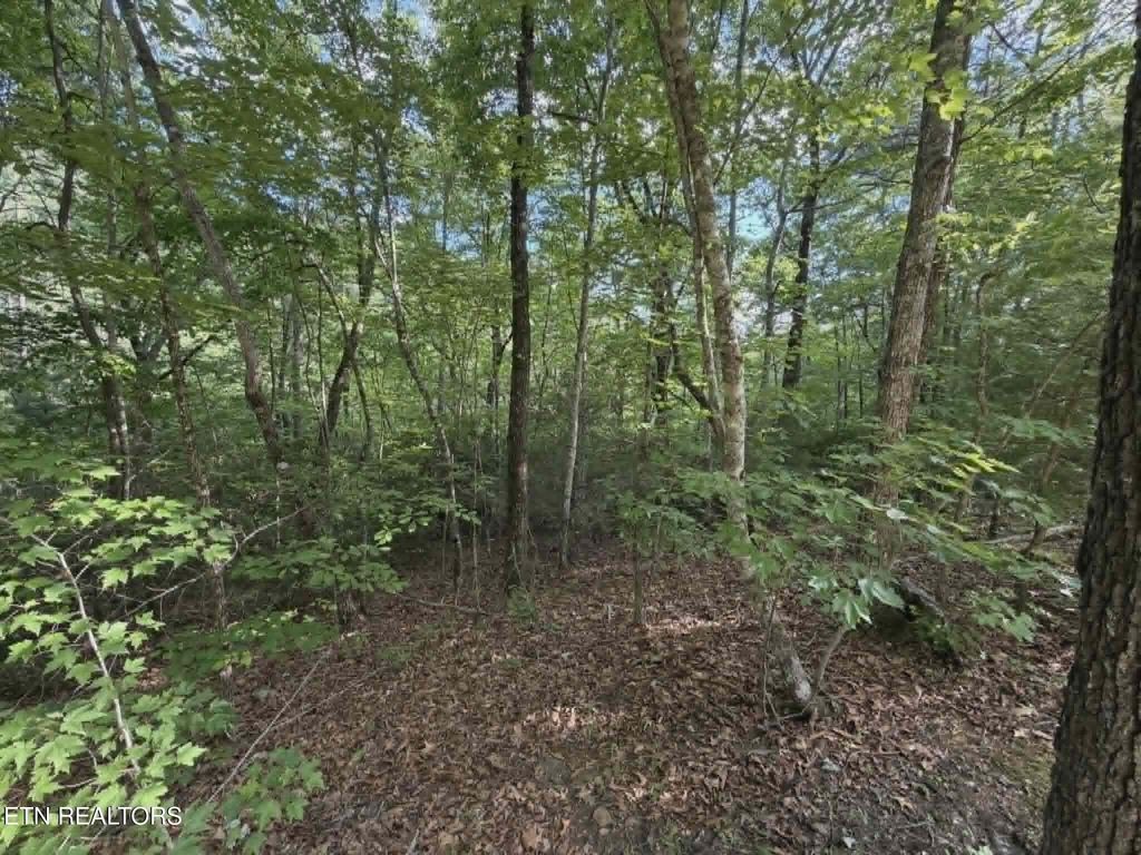0 Fox Hunters Lane, Sevierville