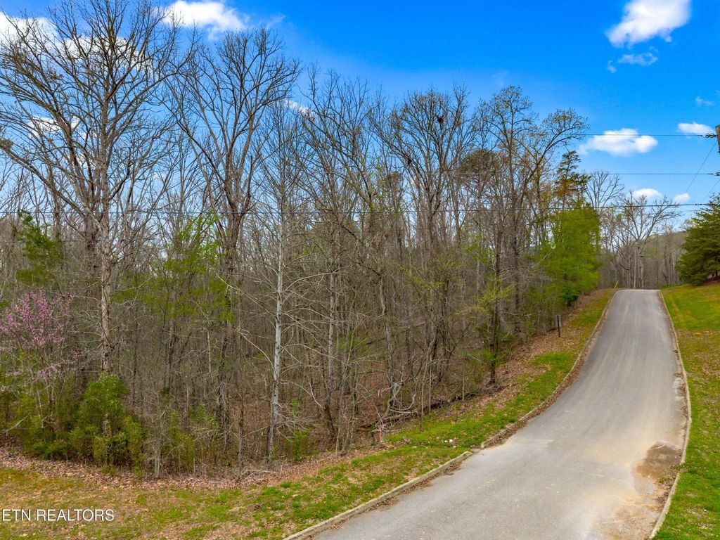 107 Turtle Dove Tr, Dandridge