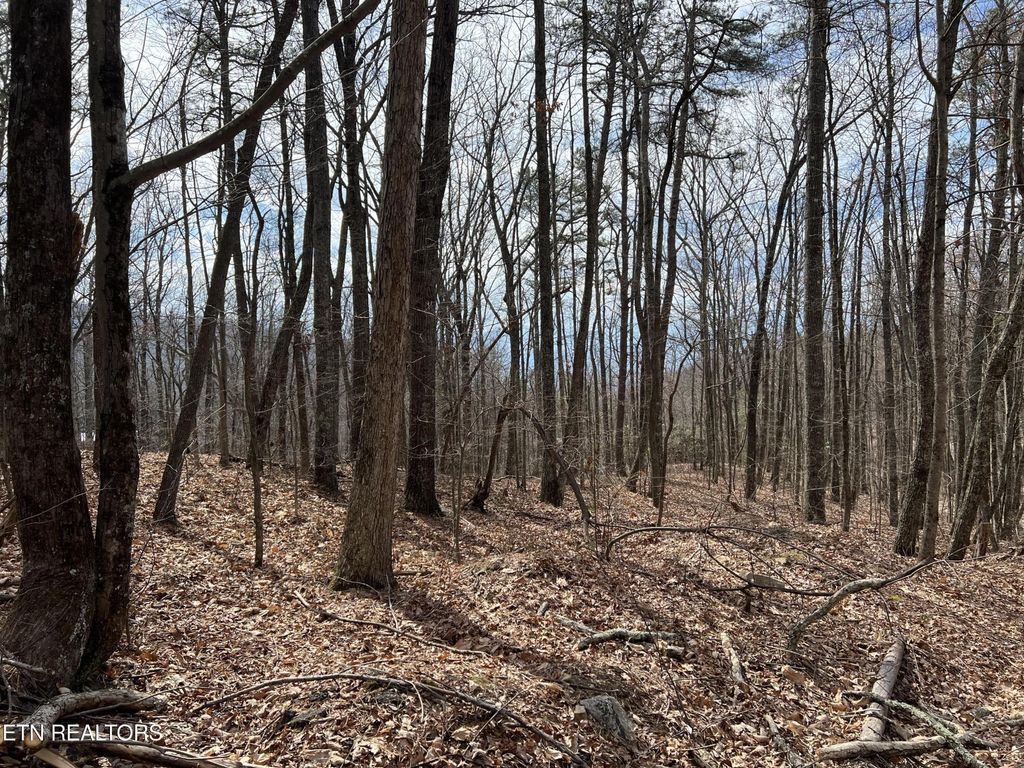 0 Swann Saddle, Sevierville