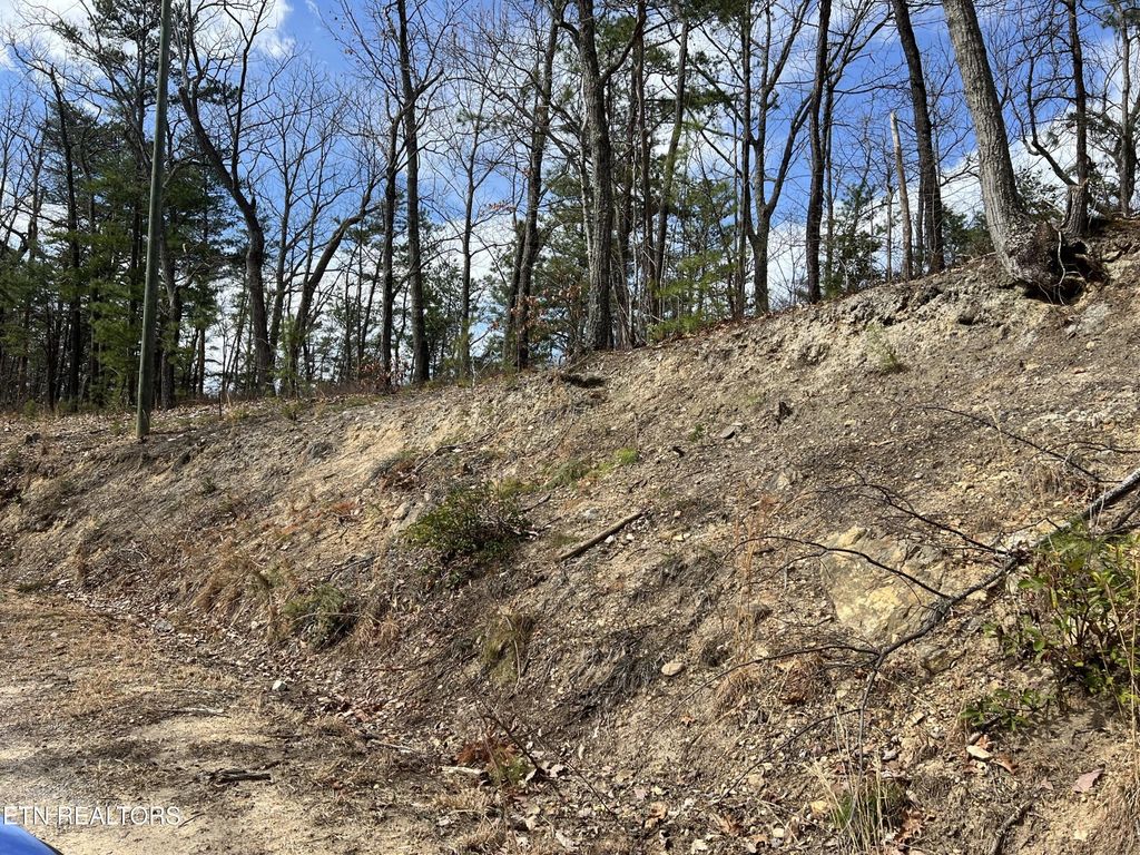 0 Chestnut Ridge Court, Sevierville