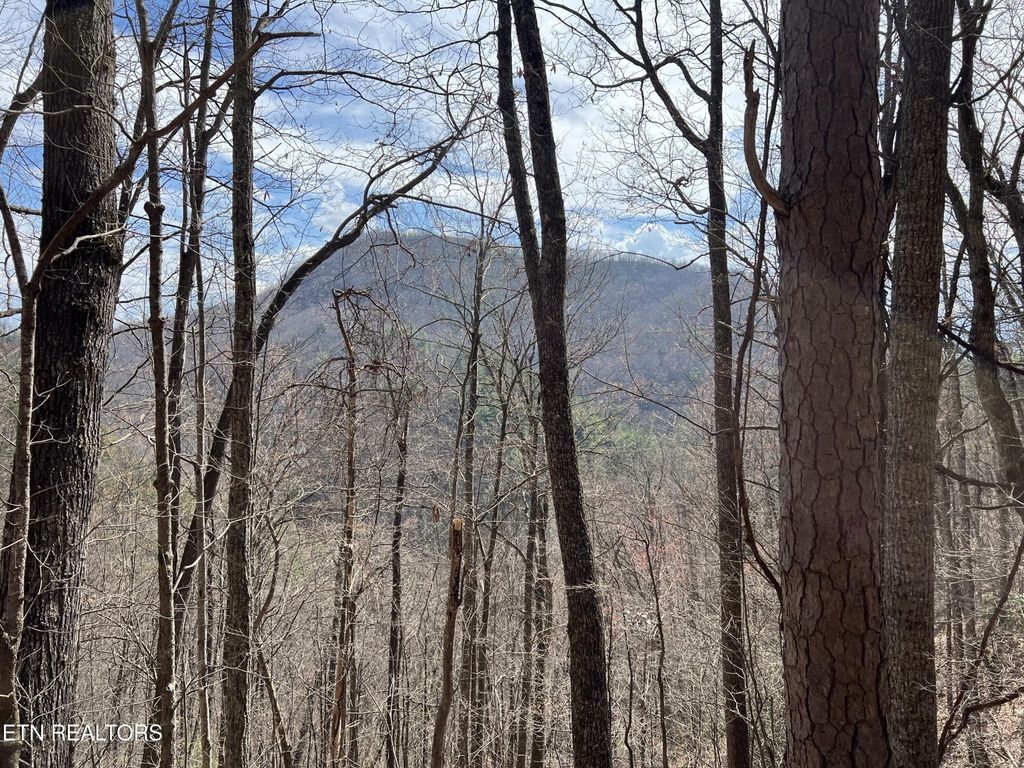 0 Aintree Drive, Sevierville
