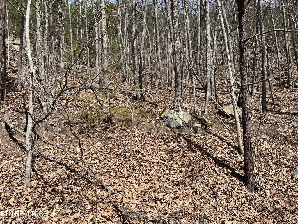 0 Clingmans View, Sevierville