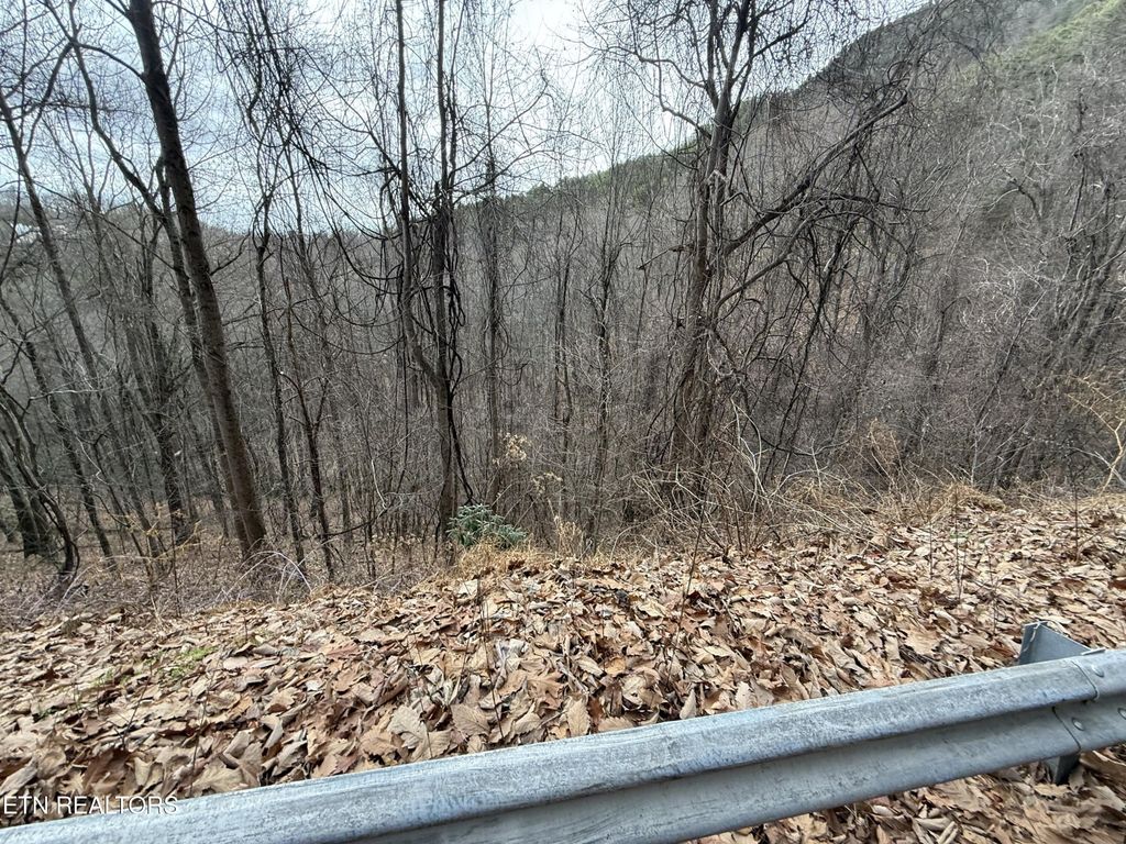 34 Alpine Drive, Sevierville