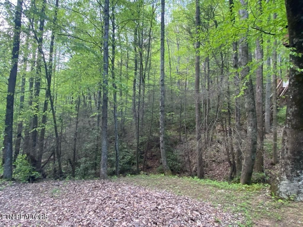 Photo of Listing #3536099