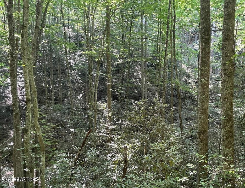 70 Hazelnut Lane, Sevierville