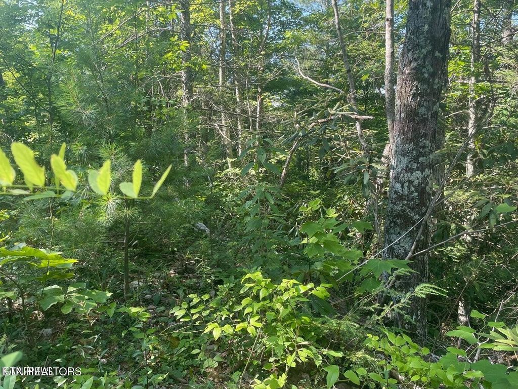 1 Sycamore St, Sevierville