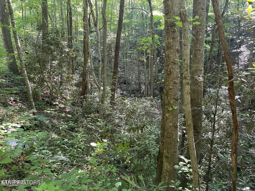 76 Sycamore St, Sevierville