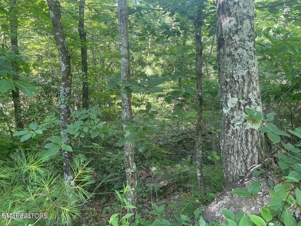 71 Hazelnut Lane, Sevierville