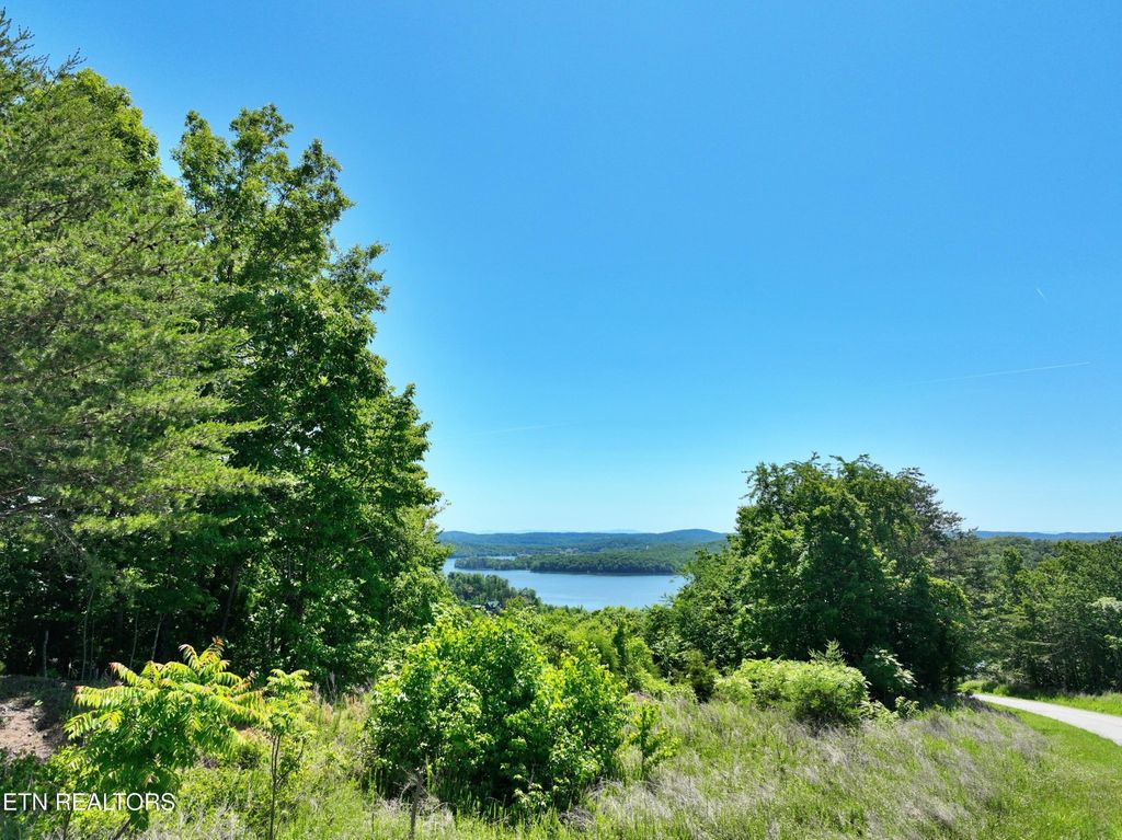 0 Flint Ridge Rd, Rockwood