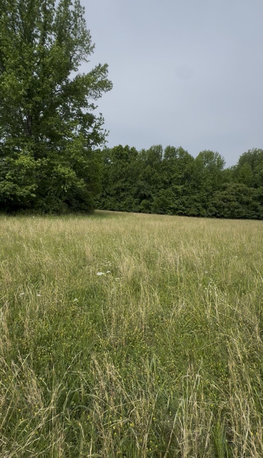 0 Riverview Road, Mount Juliet