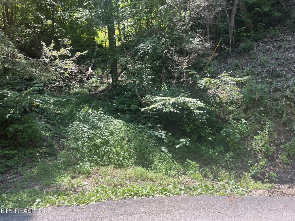 331 Ridgefield Drive, Sevierville