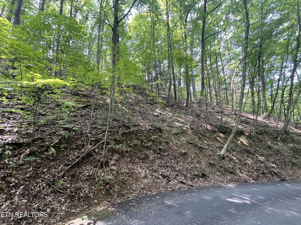 334 Ridgefield Drive, Sevierville