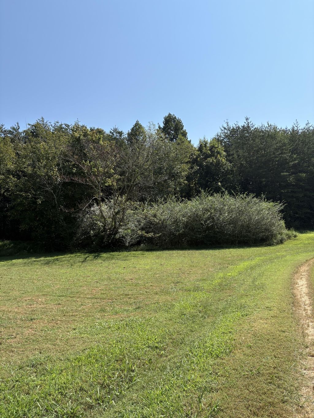 0 John Kirkland Road, Tellico Plains