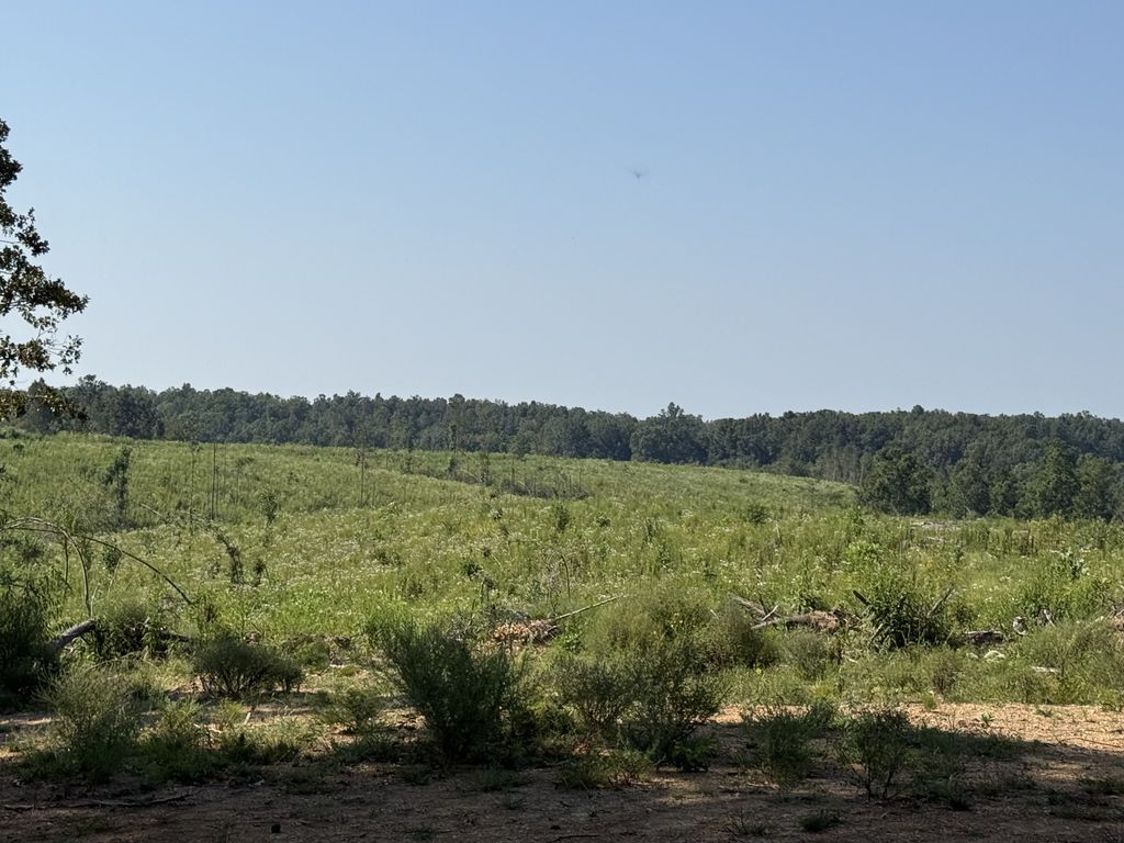 0 Linden Hwy, Hohenwald
