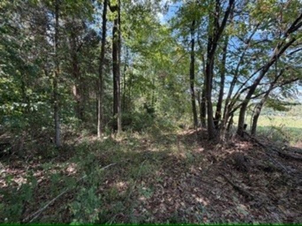 1970 Graham Cypress Rd, Greenville