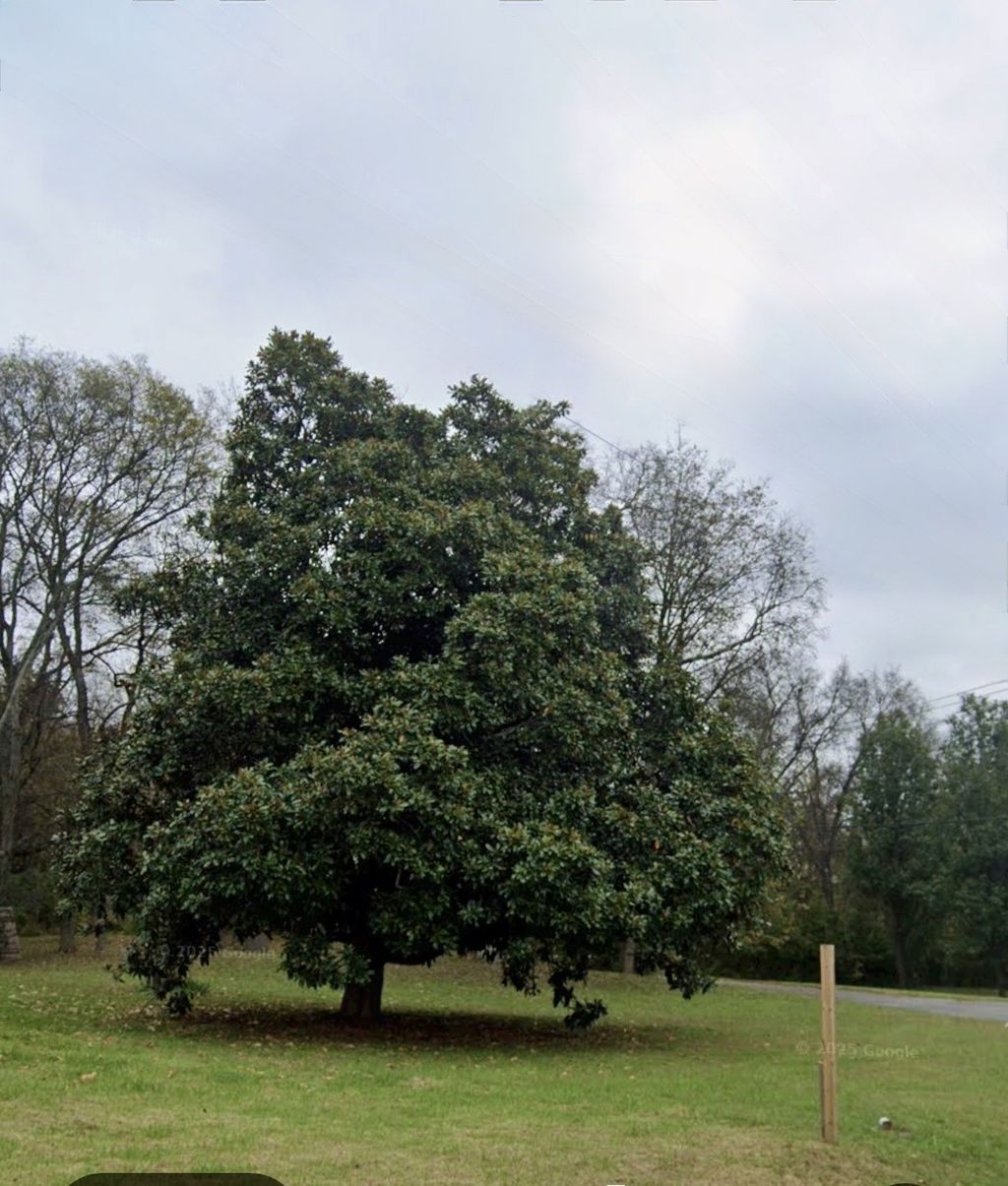 0 Old Hickory Blvd, Old Hickory