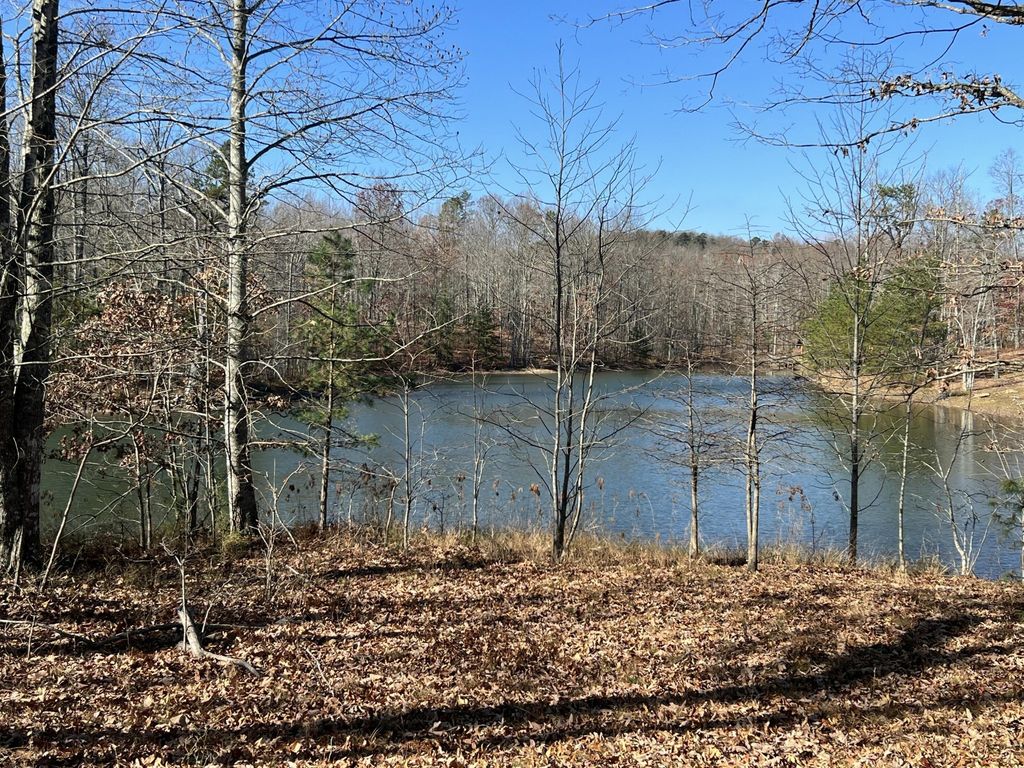 337 Bluff View Drive W, Dunlap