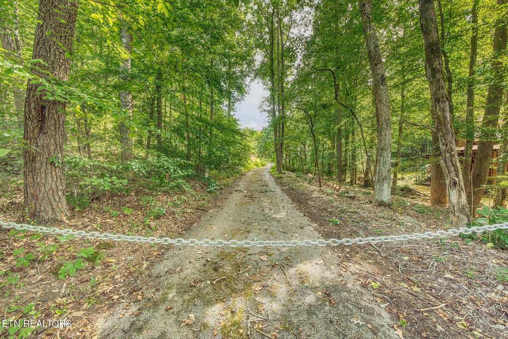 1670 Jobey Green Hollow Rd, Sevierville