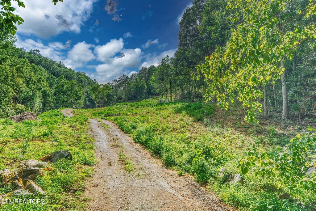 1670 Jobey Green Hollow Rd, Sevierville