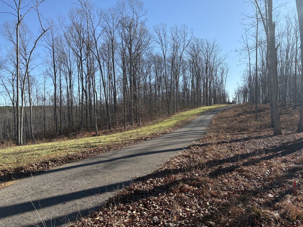 0 Shelton Cemetery Rd, Cumberland Furnace
