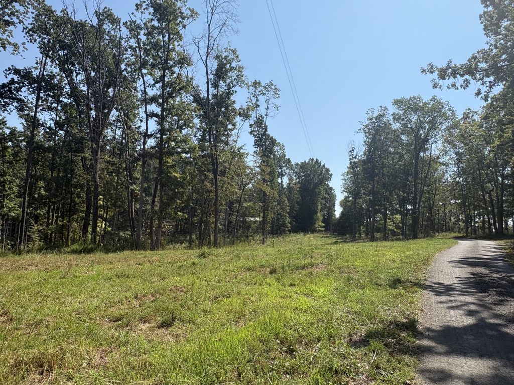 0 Shelton Cemetery Rd, Cumberland Furnace