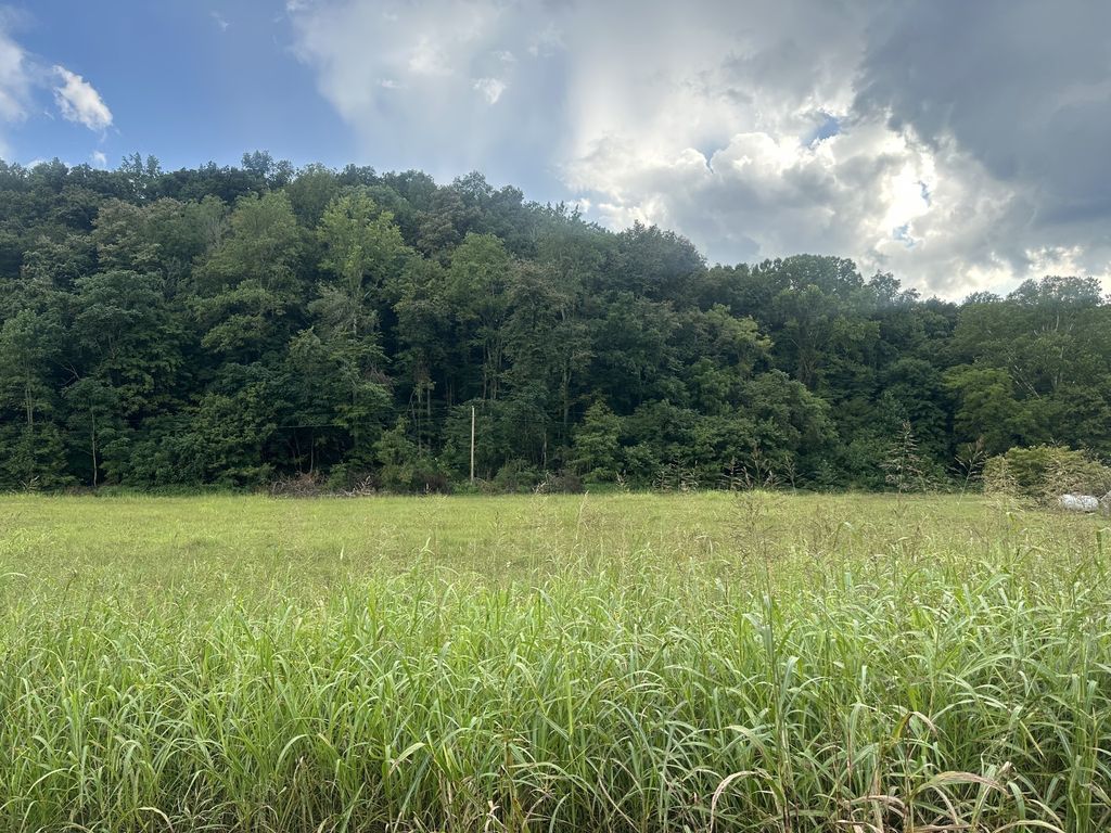 0 Lees Creek Rd, Fayetteville