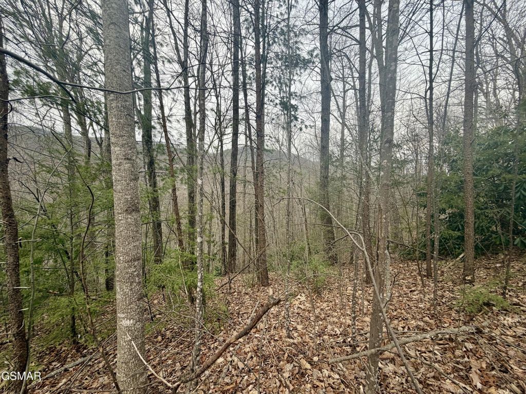 6 Thissa Way, Gatlinburg