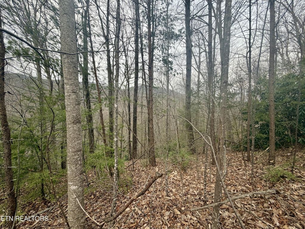 0 Thissa Way, Gatlinburg
