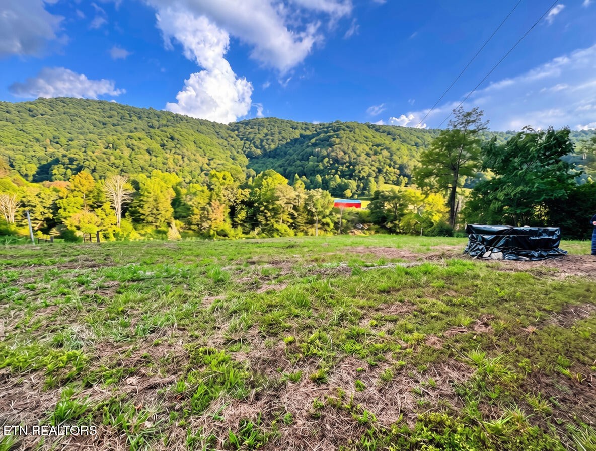 Photo of Listing #3543056