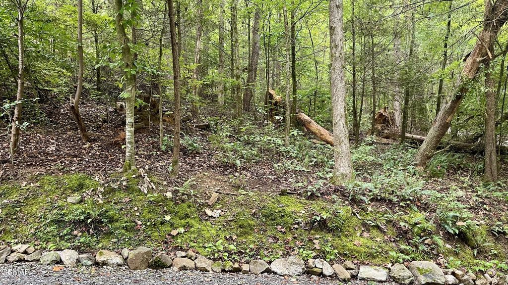 28 Walden Cove Way, Sevierville