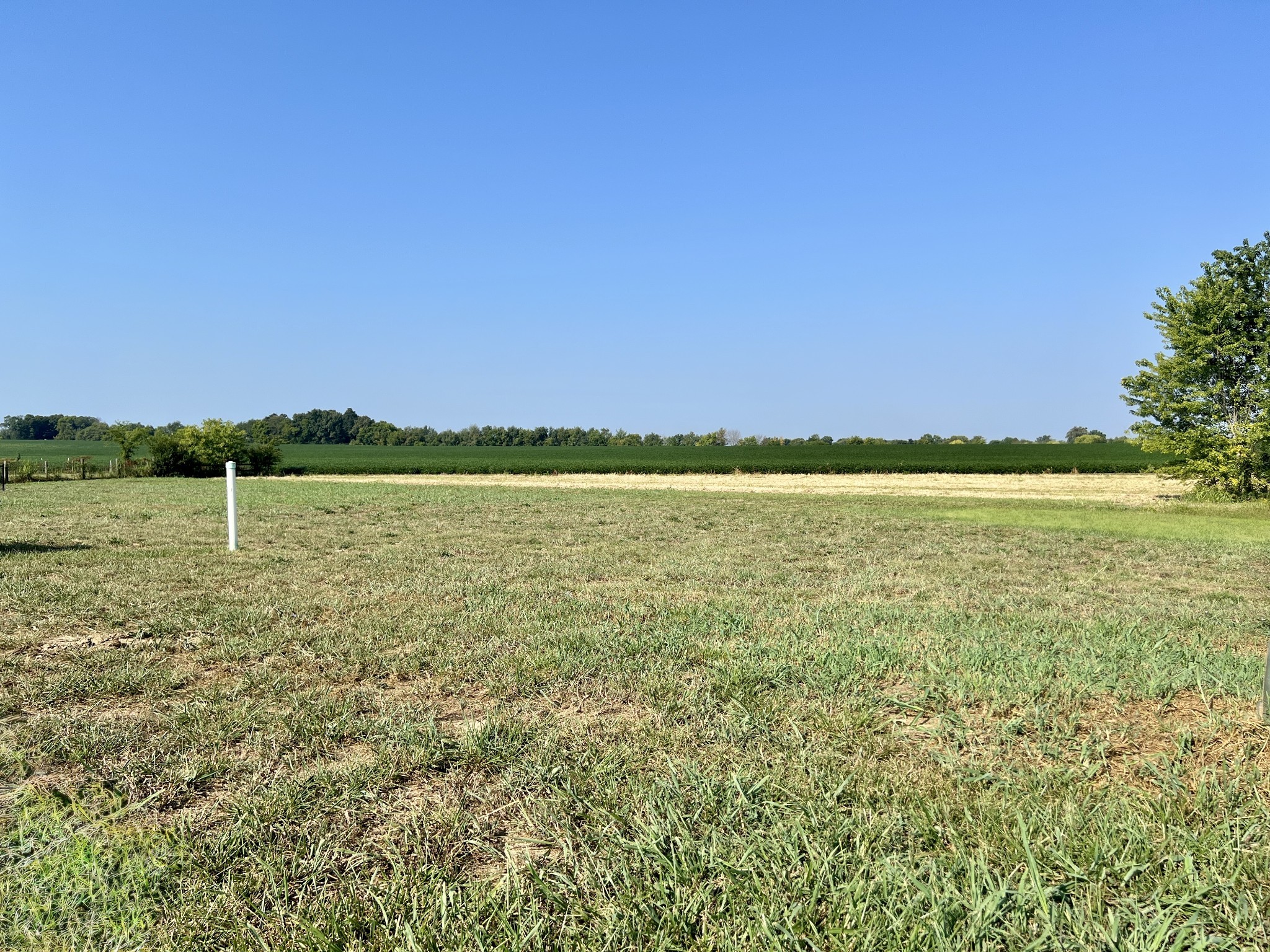 Photo of Listing #3543210