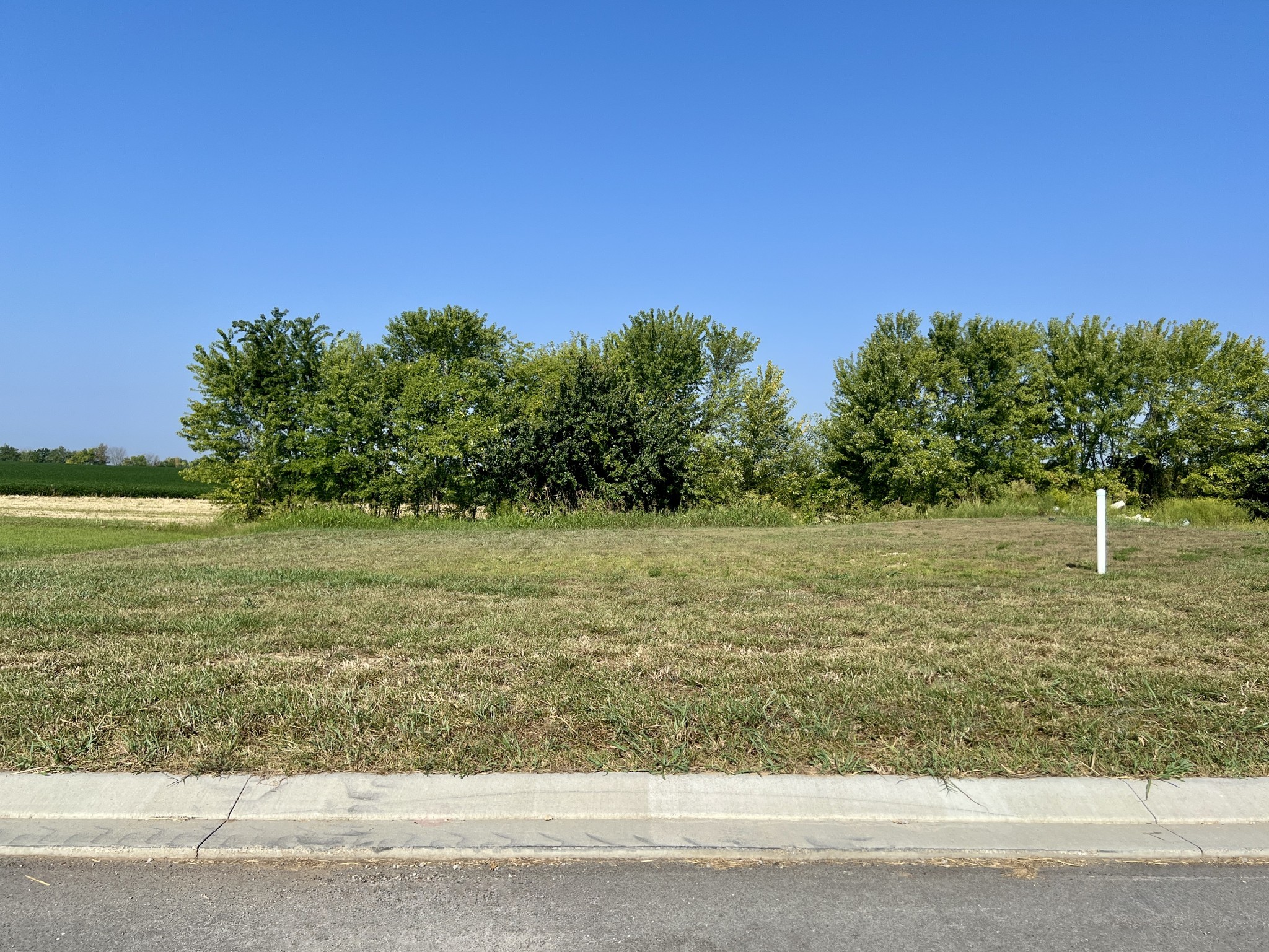 Photo of Listing #3543233