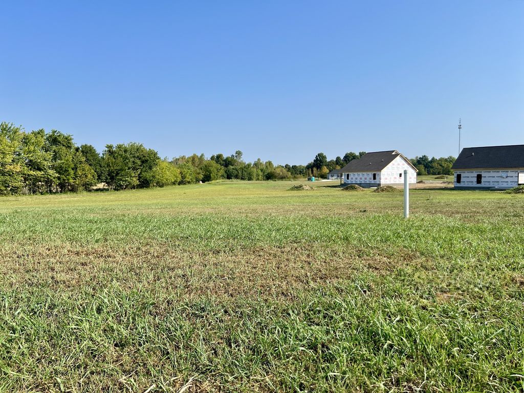 1210 Catherine Court, Franklin