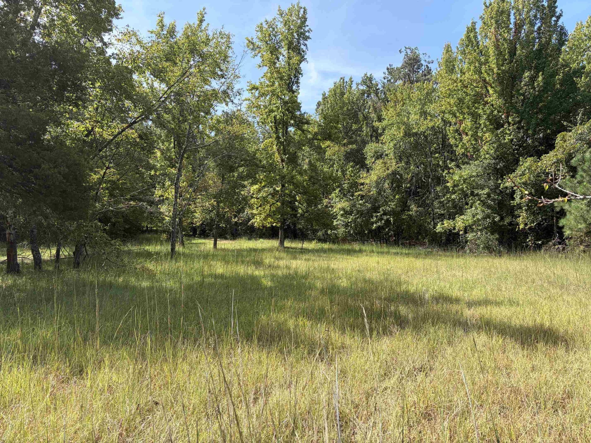 Photo of Listing #3544090