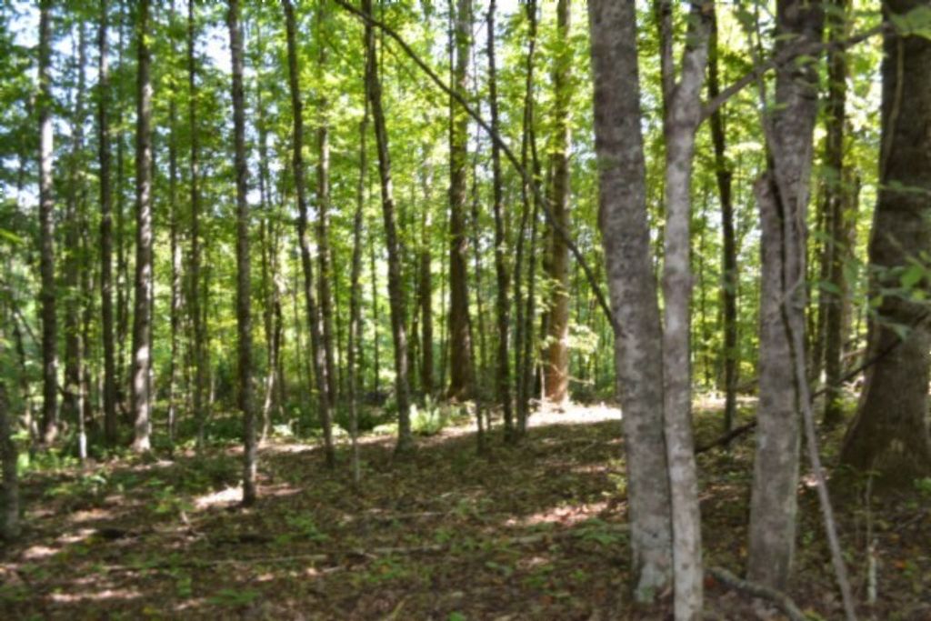 3 Ac Rock Springs Rd, Celina